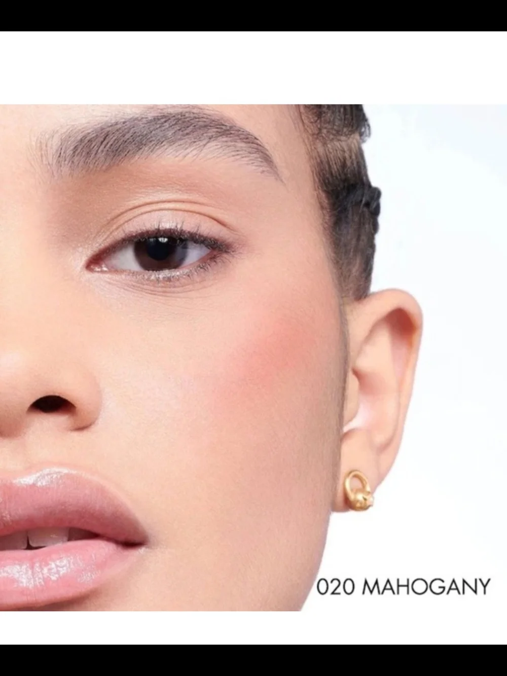 Dior Rosy Glow Matte Finish Powder Blush In 020 Mahogany NWOB